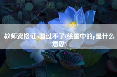 教师资格证p图过不了(绘圈中的p是什么意思)