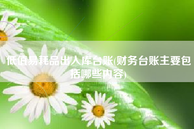 低值易耗品出入库台账(财务台账主要包括哪些内容)