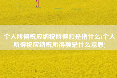个人所得税应纳税所得额是指什么(个人所得税应纳税所得额是什么意思)