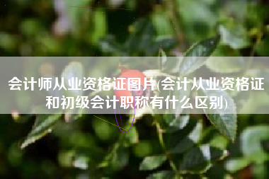会计师从业资格证图片(会计从业资格证和初级会计职称有什么区别)
