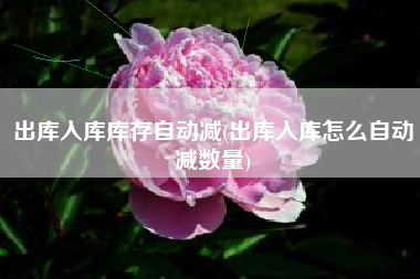 出库入库库存自动减(出库入库怎么自动减数量)
