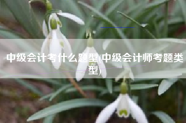 中级会计考什么题型(中级会计师考题类型)