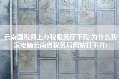 云南国税网上办税服务厅下载(为什么我家电脑云南省税务局网站打不开)