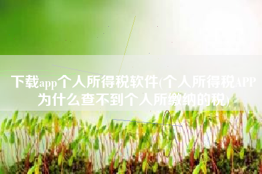 下载app个人所得税软件(个人所得税APP为什么查不到个人所缴纳的税)