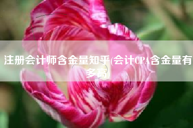 注册会计师含金量知乎(会计CPA含金量有多高)