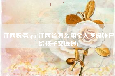 江西税务app(江西省怎么用个人医保账户给孩子交医保)