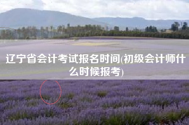 详细阅读:辽宁省会计考试报名时间(初级会计师什么时候报考) 辽宁省会计考试报名时间(初级会计师什么时候报考)