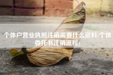 个体户营业执照注销需要什么资料(个体委托书注销流程)