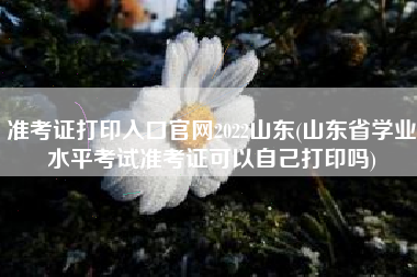 准考证打印入口官网2022山东(山东省学业水平考试准考证可以自己打印吗)