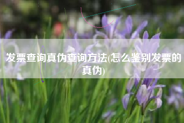 发票查询真伪查询方法(怎么鉴别发票的真伪)