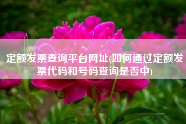 详细阅读:定额发票查询平台网址(如何通过定额发票代码和号码查询是否中) 定额发票查询平台网址(如何通过定额发票代码和号码查询是否中)