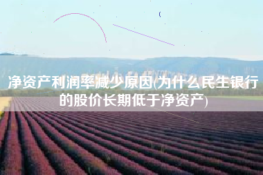 净资产利润率减少原因(为什么民生银行的股价长期低于净资产)