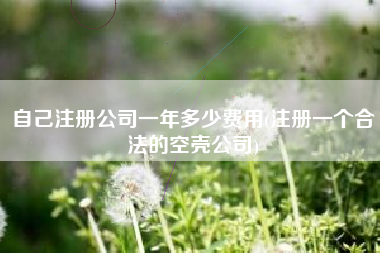 自己注册公司一年多少费用(注册一个合法的空壳公司)