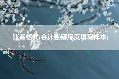 账簿格式(会计账簿扉页填写样本)