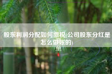 详细阅读:股东利润分配如何缴税(公司股东分红是怎么做账的) 股东利润分配如何缴税(公司股东分红是怎么做账的)