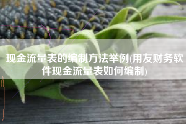详细阅读:现金流量表的编制方法举例(用友财务软件现金流量表如何编制) 现金流量表的编制方法举例(用友财务软件现金流量表如何编制)