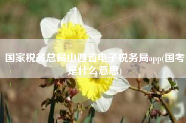 国家税务总局山西省电子税务局app(国考是什么意思)