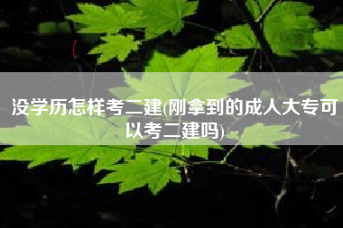没学历怎样考二建(刚拿到的成人大专可以考二建吗)