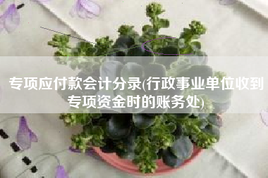 专项应付款会计分录(行政事业单位收到专项资金时的账务处)