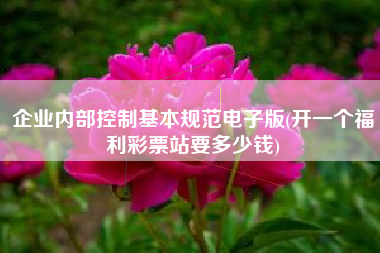 企业内部控制基本规范电子版(开一个福利彩票站要多少钱)