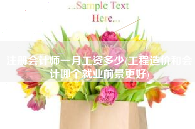 详细阅读:注册会计师一月工资多少(工程造价和会计哪个就业前景更好) 注册会计师一月工资多少(工程造价和会计哪个就业前景更好)