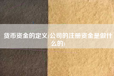 货币资金的定义(公司的注册资金是做什么的)