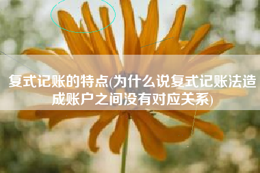 复式记账的特点(为什么说复式记账法造成账户之间没有对应关系)