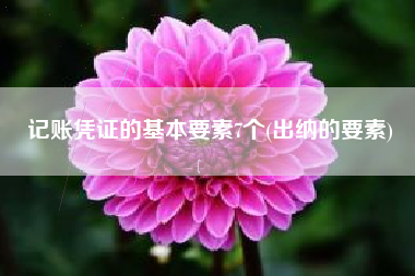 记账凭证的基本要素7个(出纳的要素)