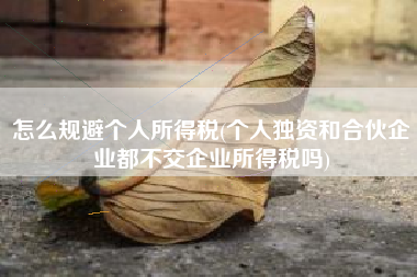 怎么规避个人所得税(个人独资和合伙企业都不交企业所得税吗)