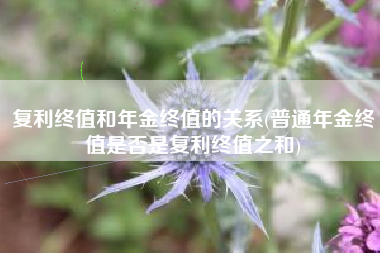 复利终值和年金终值的关系(普通年金终值是否是复利终值之和)