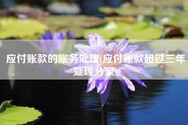 应付账款的账务处理(应付账款超过三年处理分录)