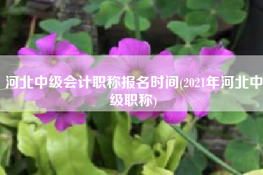 河北中级会计职称报名时间(2021年河北中级职称)