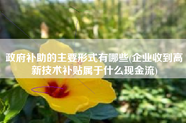 政府补助的主要形式有哪些(企业收到高新技术补贴属于什么现金流)