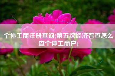 详细阅读:个体工商注册查询(第五次经济普查怎么查个体工商户) 个体工商注册查询(第五次经济普查怎么查个体工商户)