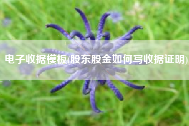电子收据模板(股东股金如何写收据证明)
