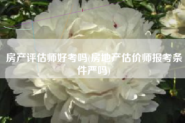 房产评估师好考吗(房地产估价师报考条件严吗)