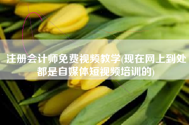 注册会计师免费视频教学(现在网上到处都是自媒体短视频培训的)