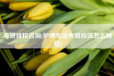 考研择校咨询(护理专业考研应该怎么择校)