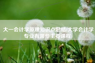 详细阅读:大一会计学原理知识点总结(大学会计学专业有哪些主要课程) 大一会计学原理知识点总结(大学会计学专业有哪些主要课程)