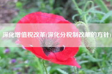 深化增值税改革(深化分税制改革的方针)