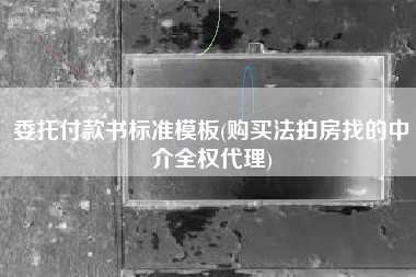委托付款书标准模板(购买法拍房找的中介全权代理)