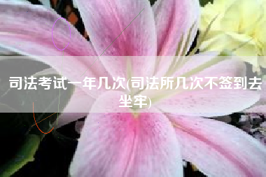 司法考试一年几次(司法所几次不签到去坐牢)
