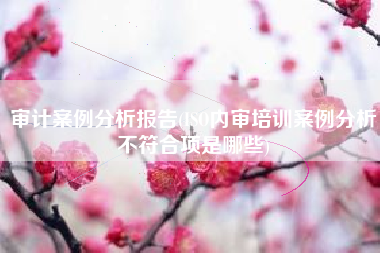 审计案例分析报告(ISO内审培训案例分析不符合项是哪些)