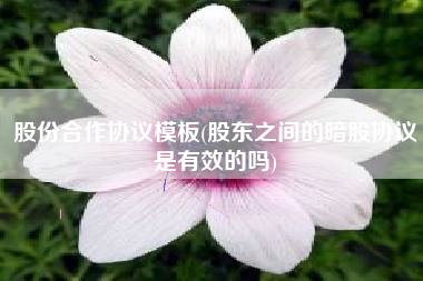 股份合作协议模板(股东之间的暗股协议是有效的吗)
