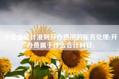 小企业会计准则开办费用的账务处理(开办费属于什么会计科目)