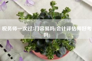 税务师一次过5门容易吗(会计评估师好考吗)