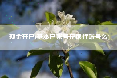 现金开户(基本户账号是银行账号么)