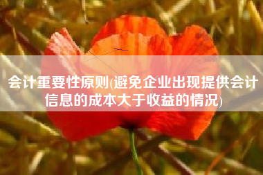 会计重要性原则(避免企业出现提供会计信息的成本大于收益的情况)