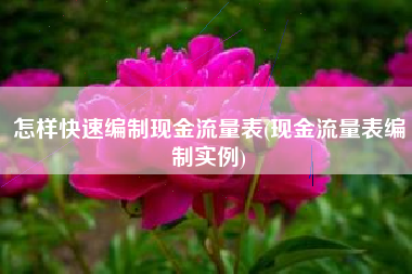 怎样快速编制现金流量表(现金流量表编制实例)