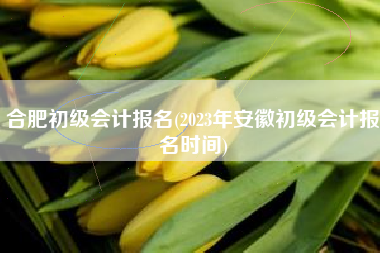 合肥初级会计报名(2023年安徽初级会计报名时间)